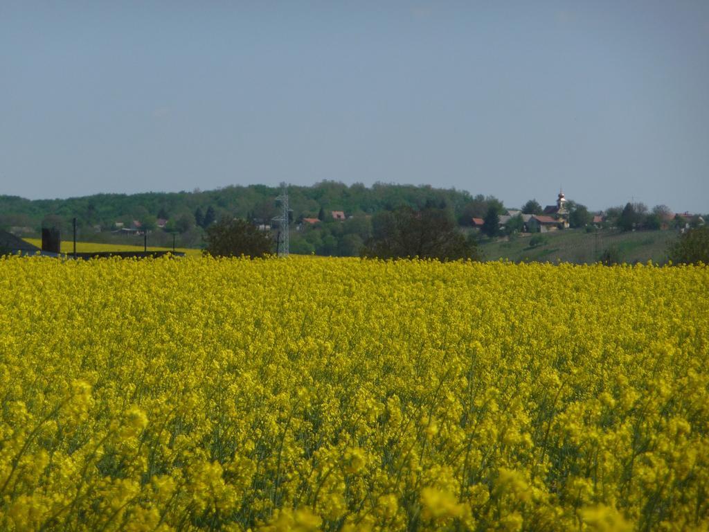 נג'קניז'ה Foerhenc Wine House & Guesthouses I-Ii-Iii מראה חיצוני תמונה